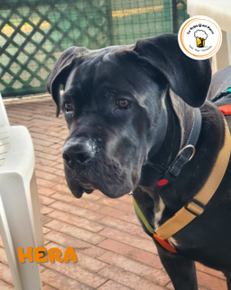 512a37bc-bdc4-4425-9eb2-766e35bf6549