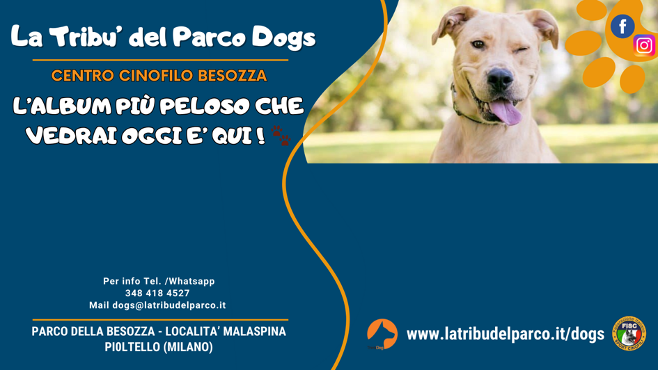 cartellone dog pelle (2)