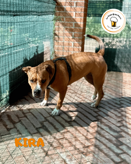 06cdff34-b50e-4cde-9535-a22e427eaeaa