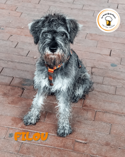 76db0b28-ddb2-488a-b270-fbcedc34a597