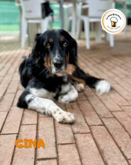 6cf2339e-4cb4-42e4-9b9f-7fb39e4b09fa