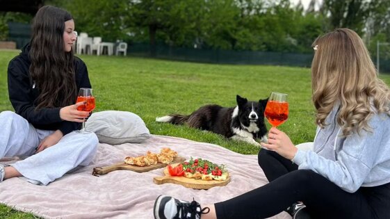 486b0a0b-6ed7-4f86-ab62-ffb1f29ecd3e