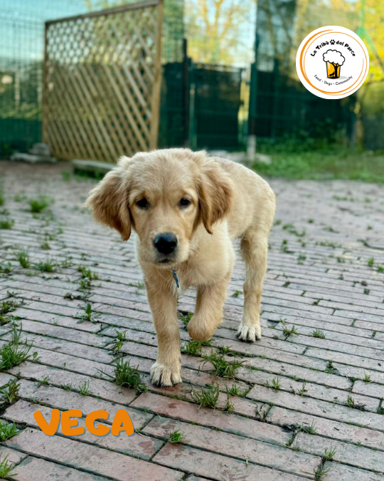 ff314a4b-6296-4624-8720-7efcf2d1eb89