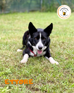 bdb8f27d-e83c-4f10-8ec7-55800f241105