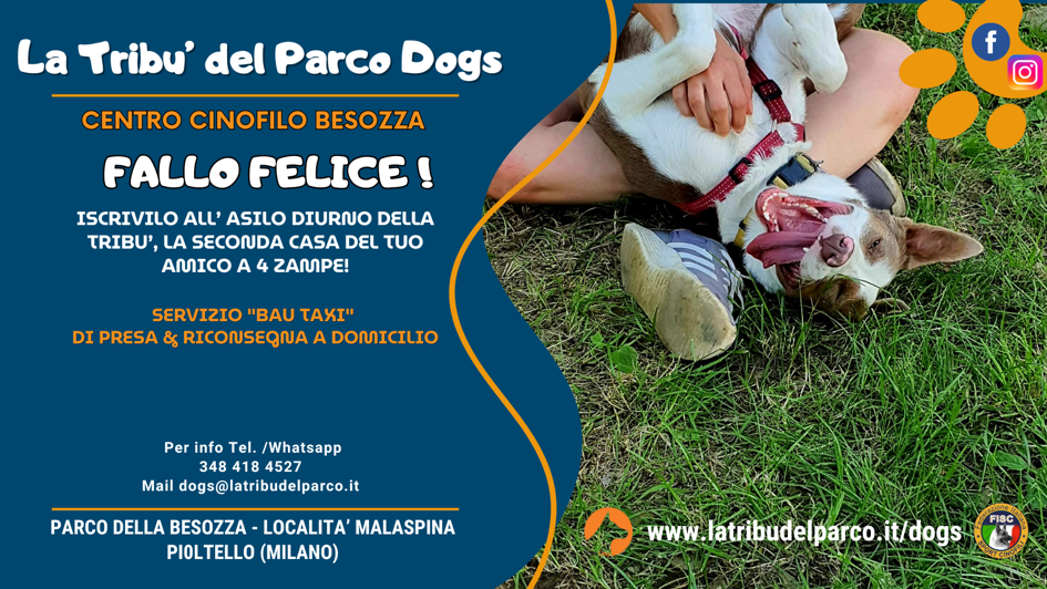 cartellone dog pelle (2)