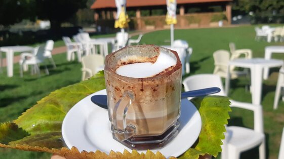 35bb3795-2006-410d-b253-177658072837