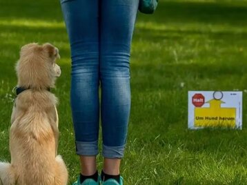 84f9d9d3-f269-4df7-b662-2a9f1e02d4c4