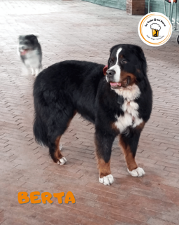 26338463-97c6-4fbc-b973-34ed956a0090