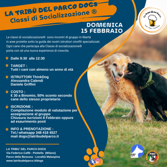 2025. dog (quadrato)