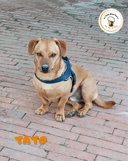 703fbcd7-36cf-461e-aac3-db172c4f2903