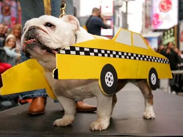 1e5b9776-19bc-4aa0-81fd-d0d04ccf148f