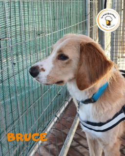 69db9aec-3cc1-4593-b7fb-3569dc1e4fd0