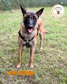 4895dfeb-f7cd-42d7-8057-68aeca206449