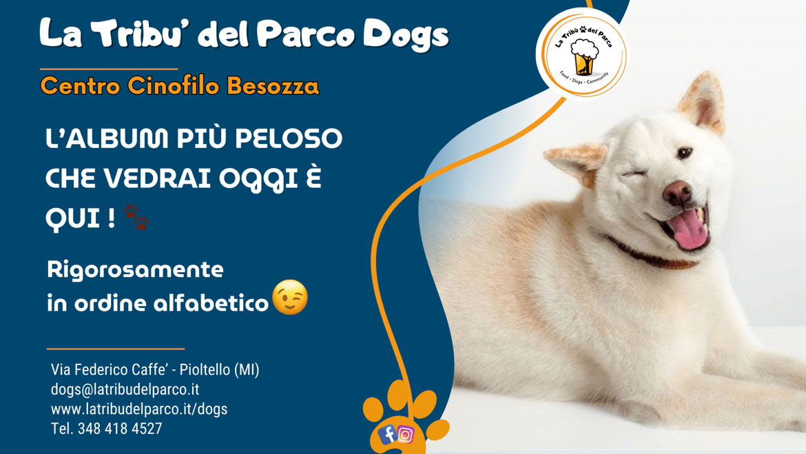 ad86ff26-c7dc-4e0c-9dc7-d8a7c1d0158c