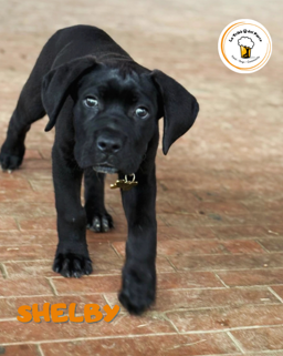 2da5b3f5-84d9-47e1-83ab-aa4f2869189d