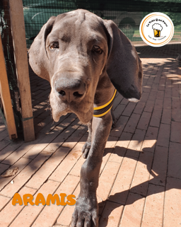 1b7aa316-beaa-4c9d-ad46-d12adf3e38fd