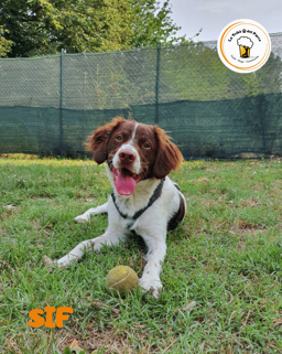 0a29bb6a-935e-4f16-a847-4798878ddd49