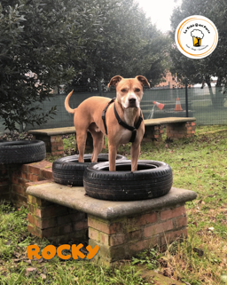 2cd92fe8-683c-41dd-a321-a249a9b61615