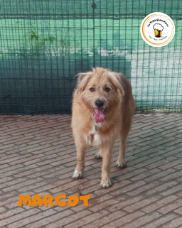 23ec0c06-ea37-44fa-9d24-cd12f26596d1