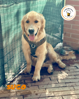 bc8dff96-6304-438d-a422-d57c23890b11