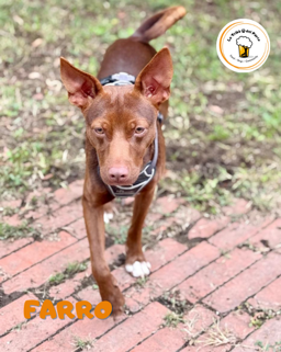 5d0f82d0-ce23-4968-ac1c-5e9851b58ee3