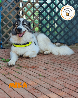 7b3733d2-67e4-4c67-9555-a08d4c634c68