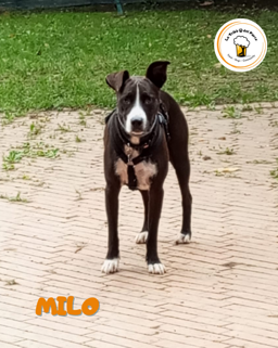 6cd72128-07b9-45a6-894a-f244e1fb485a