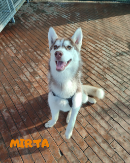 3f40f5cf-debb-44d1-b23c-383020aab65a