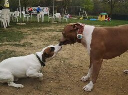 4ab4b7d1-f684-4378-b12b-c646d6173e89