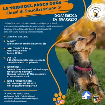 2025. dog (quadrato)