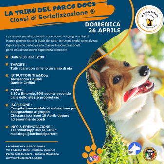 2025. dog (quadrato)