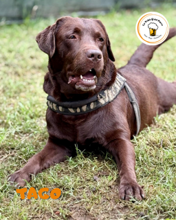 7b6dc6da-1f95-4060-9f1b-d06a6162c58d