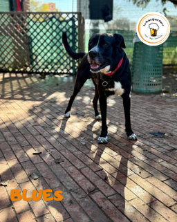 34ba0e18-9d9d-4111-931d-bd2ac4051f6c