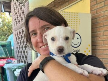 5d3d5e77-aaef-420b-b27c-7bf9020e5d23