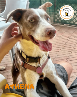 731a1789-cd29-4ccf-94c1-686ee9b53eec