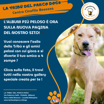 d370293a-7f27-4ba3-8af8-4de122ca339f