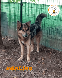 1d4cf7cd-e118-466b-a860-1d701bd107fb