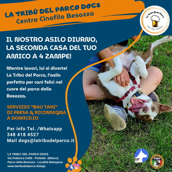 5d8d519f-078e-4828-b37d-2de27d74c9b0