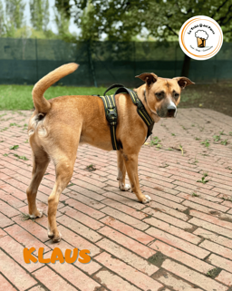 560f911e-dcbc-4143-a9ec-dfab6f675dd5