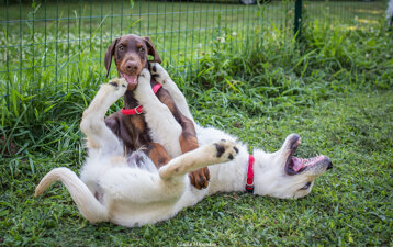 73cd8738-8041-489b-99b4-c821b18d7f11