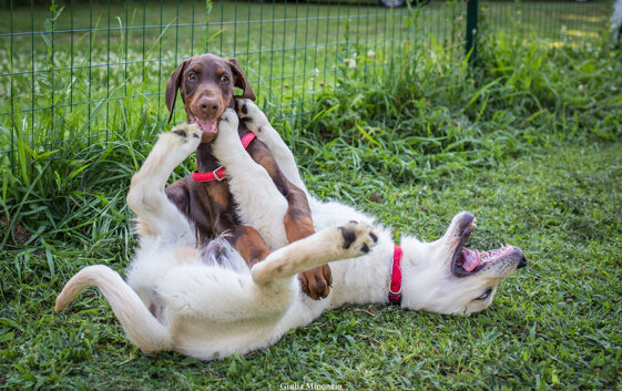 73cd8738-8041-489b-99b4-c821b18d7f11