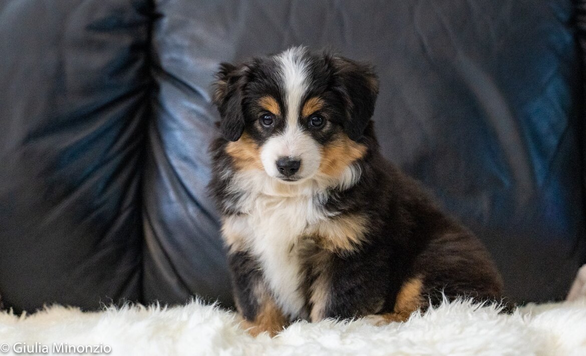 a16c1e89-3920-4619-b1a0-fd53afd169bf