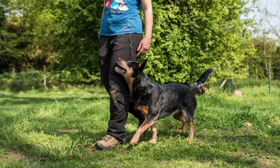 f2b95e82-8c5b-4da1-99df-b46092376298