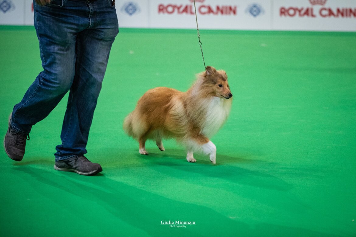 301935b2-eb39-4570-a63f-5d576f2a876d