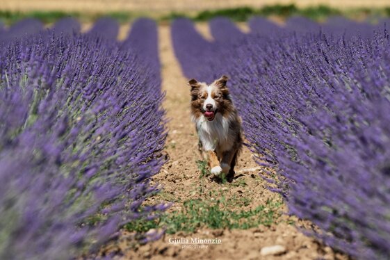 673edd90-e9e8-4cb4-892f-35e49ff52181