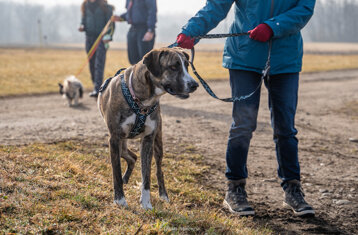 0837d1ba-0e51-4cdc-b130-a31e22762cf3