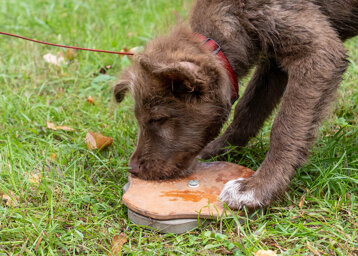 857eed3e-d958-4f17-bce6-182e1b4b7a45