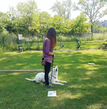 01e6b8e8-a063-4be7-b08c-c769162cd4e0