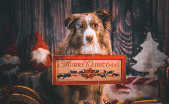 80ad432c-727f-4ac5-91c6-aa4906dfd13d