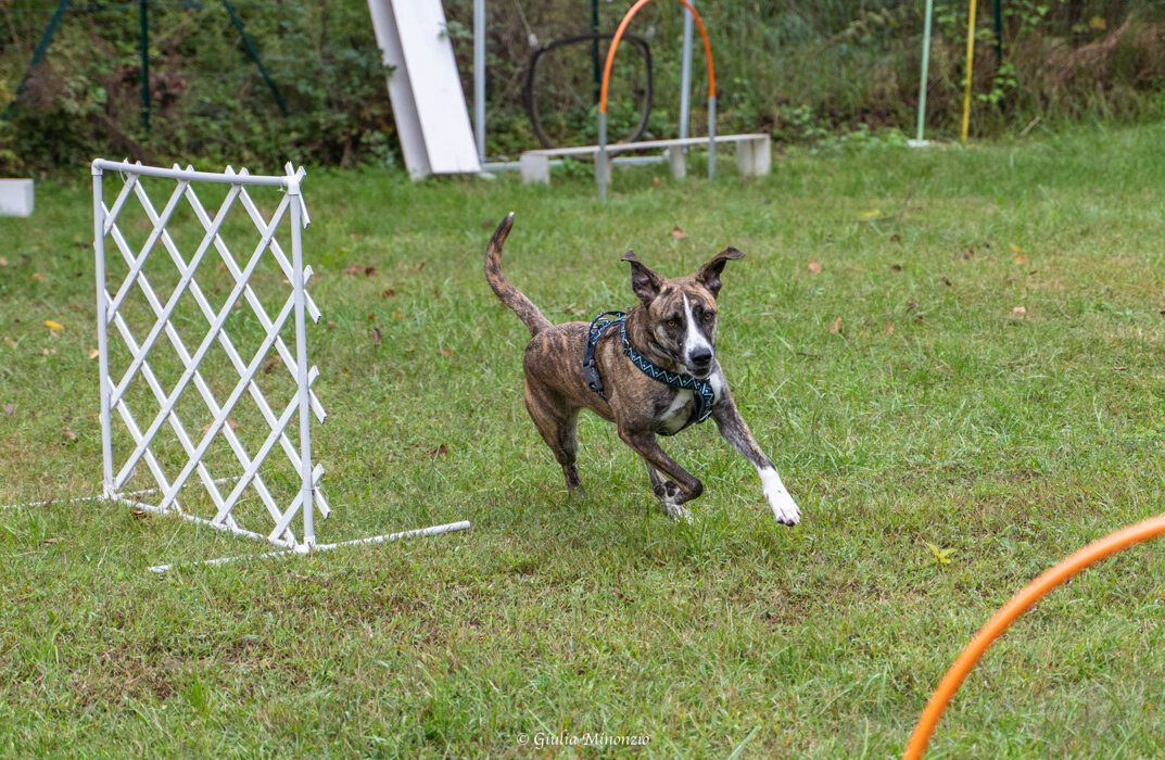 4d7a5f0b-120a-40b1-921a-95813570a8e7